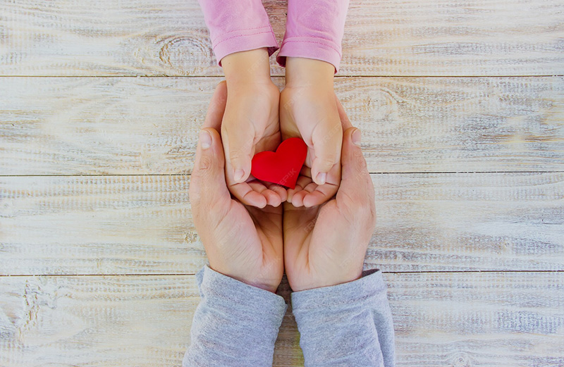 Kinderhände, die ein Herz halten und ihre Hände in die eines Erwachsenen gelegt hat